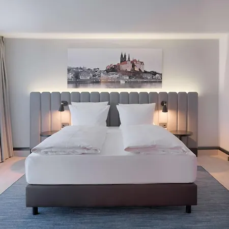 Hotel Radisson Blu Park & Conference Centre 4*