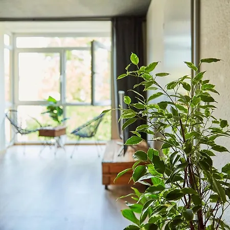 Spaciousliving Design - - Box Spring Bed - Exhibition Apartment Dresden