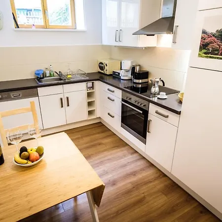 Wunderschoene In Sanierter Villa! Incl Wifi Apartment Dresden