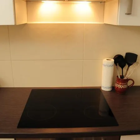 Apartment Wunderschoene In Sanierter Villa! Incl Wifi *