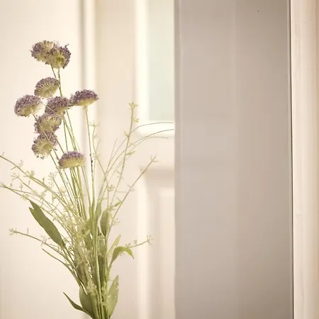 Wunderschoene In Sanierter Villa! Incl Wifi * Dresden