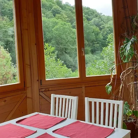 Apartment Idyllische In Zentrumsnaehe Dresden
