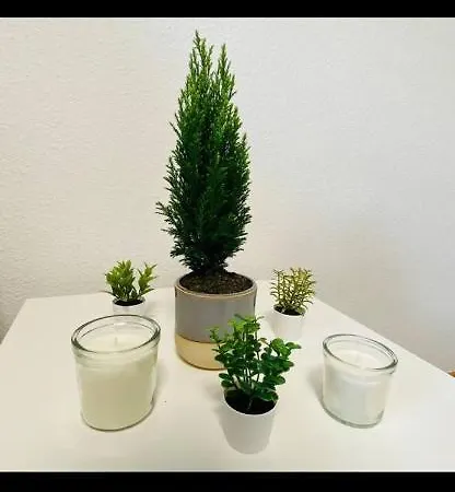 Schones Naher Bahnhof Neustadt Zentral Wlan Homestay Dresden