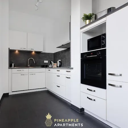 Apartment Pineapple Penthouse Am Zwinger - 162 Qm - 1x Free Parking *
