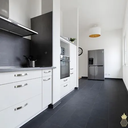 Pineapple Penthouse Am Zwinger - 162 Qm - 1x Free Parking * Dresden