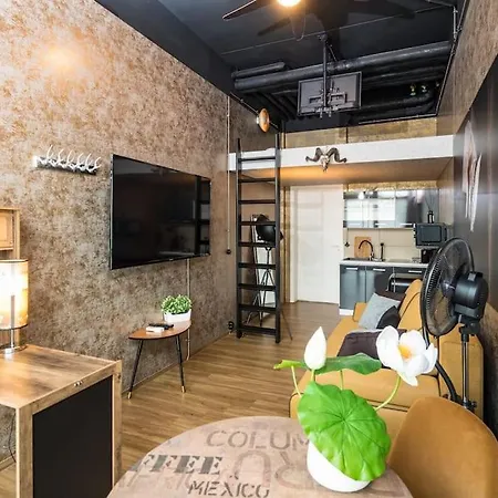 Loft An Der Elbe Apartment