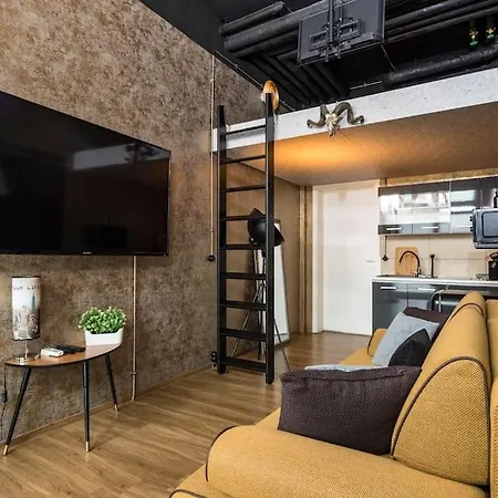 Apartment Loft An Der Elbe