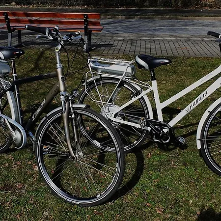 Ferienwohnung Tukan Laubegast Wlan Tv Ebike Apartment