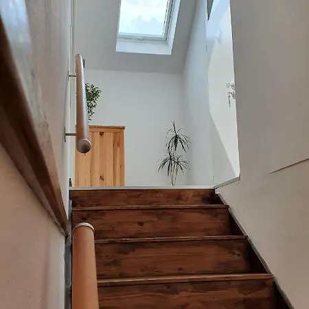 Apartment Ferienwohnung Schulz