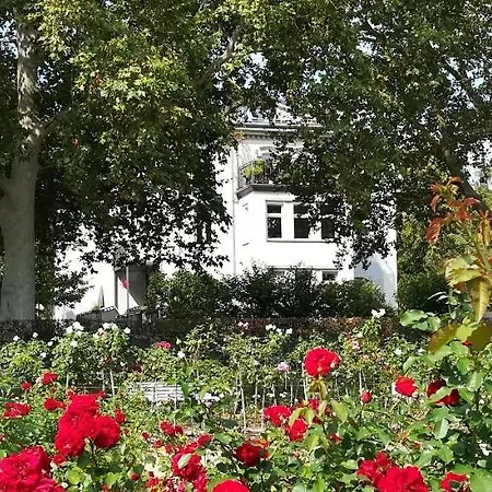 Apartment Am Rosengarten *
