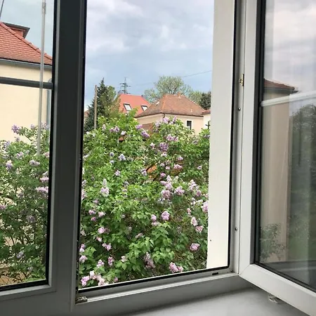 Wohlfühloase Nickern Apartment Dresden