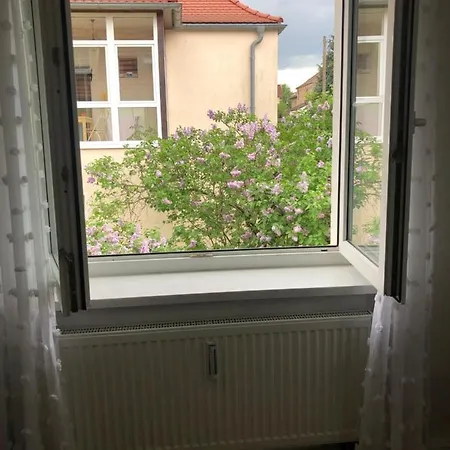Wohlfühloase Nickern Dresden