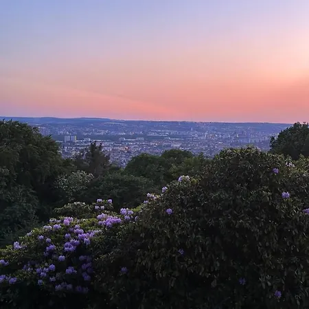 Apartment Oasis - Wohnen Im Koenigspark - Elbhang - Grosse Terrasse - Netflix - Tg *