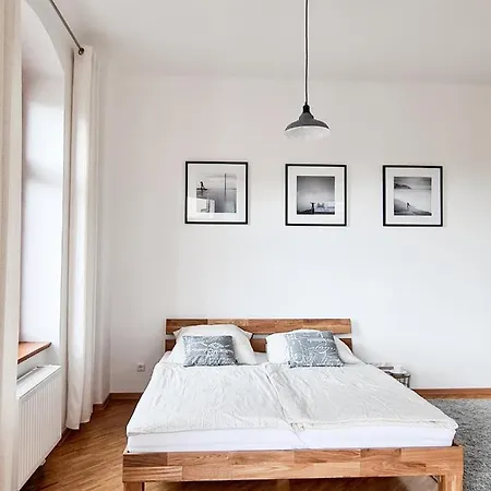Apartment 1-raum-wohnung Zentral Gelegen Dresden