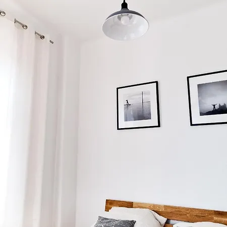 Apartment 1-raum-wohnung Zentral Gelegen Dresden
