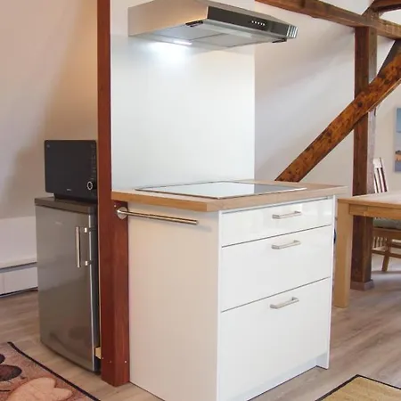 Traumzeit Mit Balkon In Vorstadtvilla Apartment Dresden
