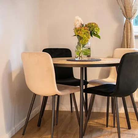 Toni Charming Im Idyllischem Villenviertel Mit Netflix * Dresden