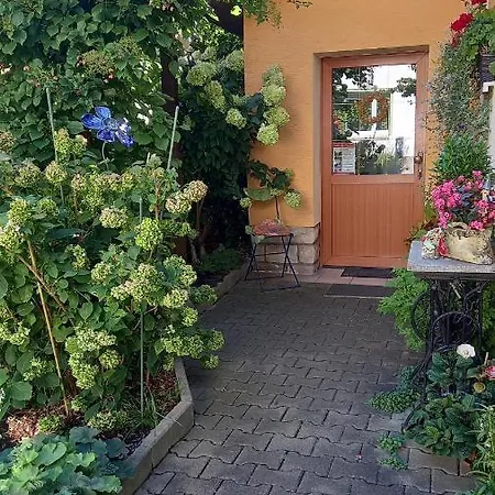 Fueg Guest house