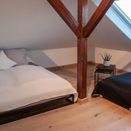 Apartment Grosse Familienfreundliche In Dresden