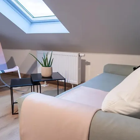 Apartment Grosse Familienfreundliche In Dresden