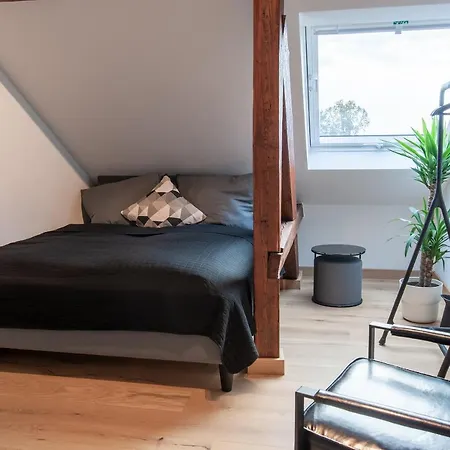 Grosse Familienfreundliche In Apartment