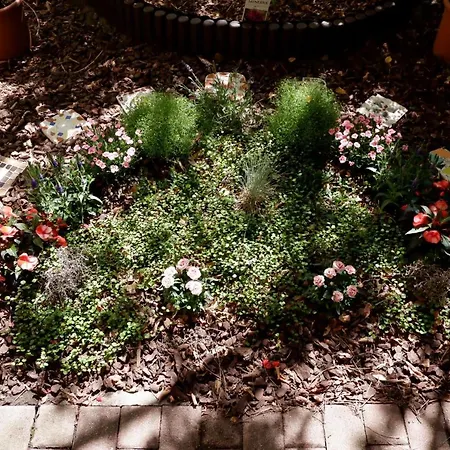 Elbe Garden Paradise Apartment