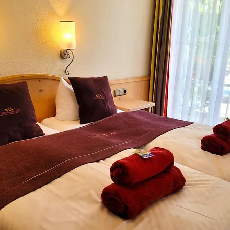 Alttolkewitzer Hof 3* Dresda