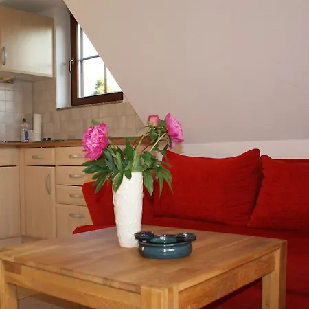 Apartment Ferienwohnung Dresden *