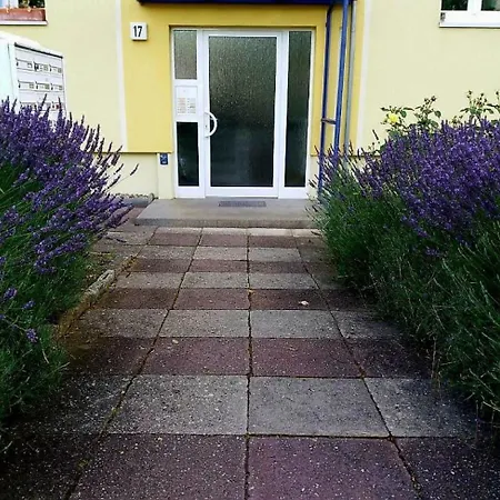 Apartment Helles Mit Balkon Am Grossen Garten Nahe Stadtzentrum