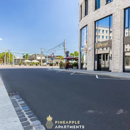 Pineapple Penthouse Am Zwinger - 162 Qm - 1x Free Parking Apartment Dresden