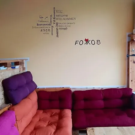 Fox-box Dresde