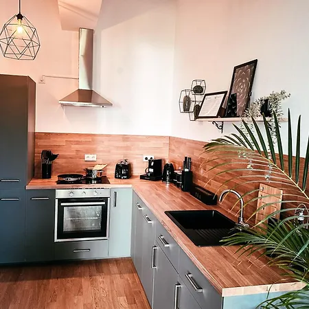 Apartment Oasis - Wohnen Im Koenigspark - Elbhang - Grosse Terrasse - Netflix - Tg *