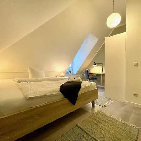 Apartment Zschachwitz - Frisch Renovierter Wohlfuehlort! *