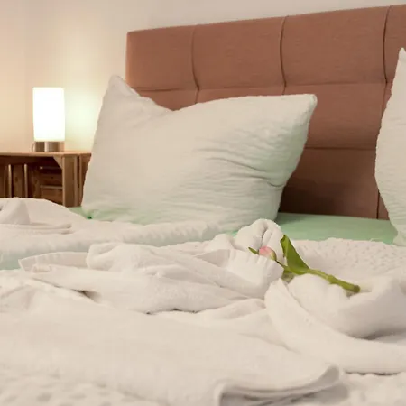 アパート Apartmenthaus Rankestrasse 4 ドレスデン