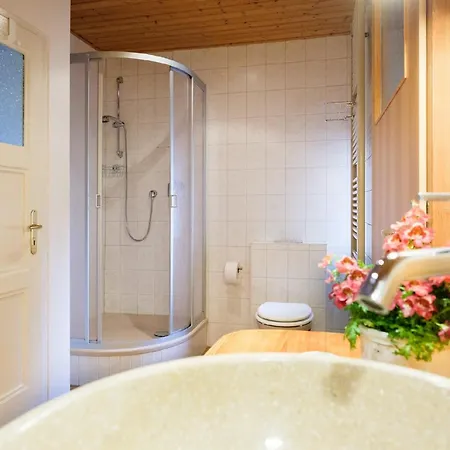 Loschwitz Apartment