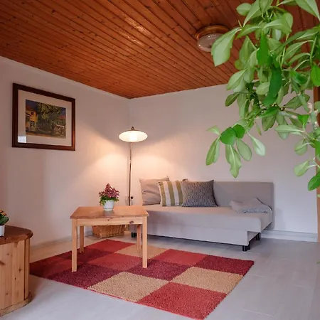 Loschwitz Apartment Dresden