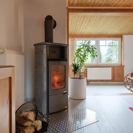 Apartment Loschwitz Dresden