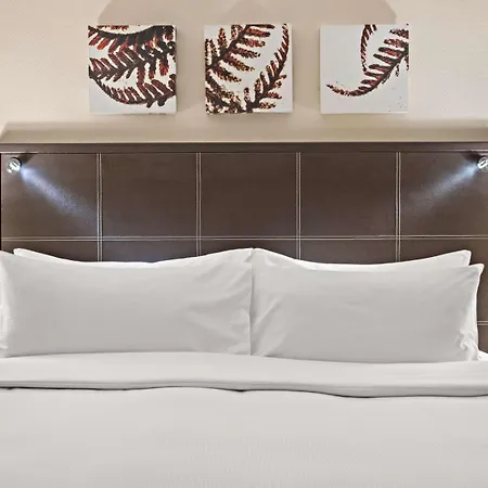 Hotel Hilton Dresde