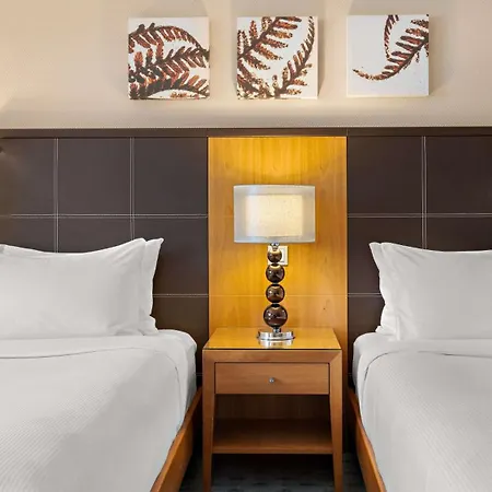 Hilton Hotel 4*