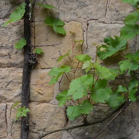 1534 * Neustadt an der Weinstrasse