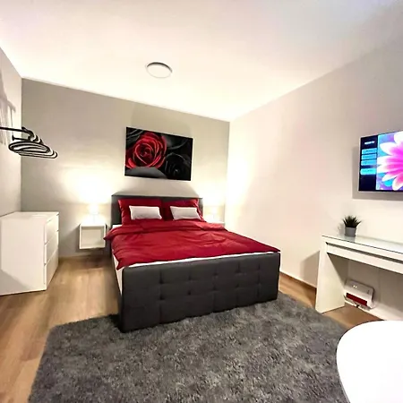 Am Waldschloesschen Mit Kueche Und Netflix Apartament *