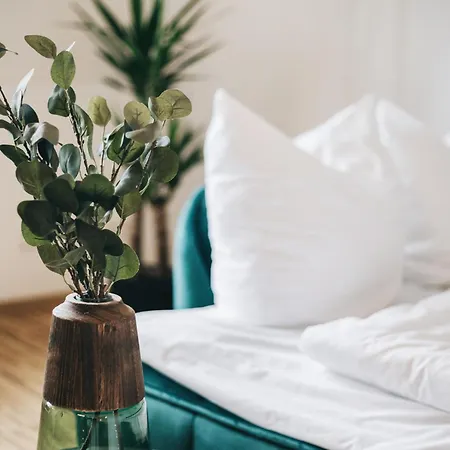 Oasis - Wohnen In - Netflix - Tiefgarage - Dachterrasse Apartment Dresden