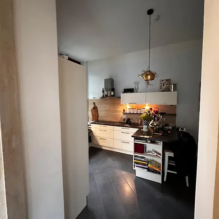Altbauwohnung In Blasewitz Am Waldpark Apartment *