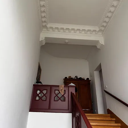 Apartment Altbauwohnung In Blasewitz Am Waldpark