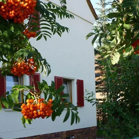 Wiete Lenk Comfortable Holiday home *