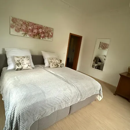 Apartment Komfortables 3 In Dresden