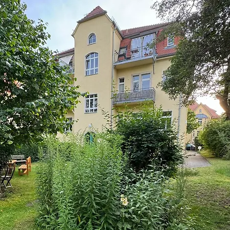 Citywohnung Dresden