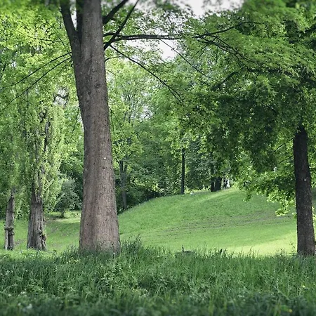 Am Bienertpark