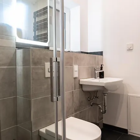 Apartment Gewoelbewohnung Mit Terrasse Dresden
