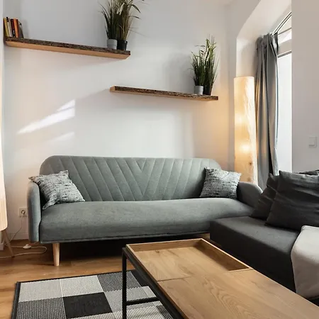 Apartment Gewoelbewohnung Mit Terrasse Dresden